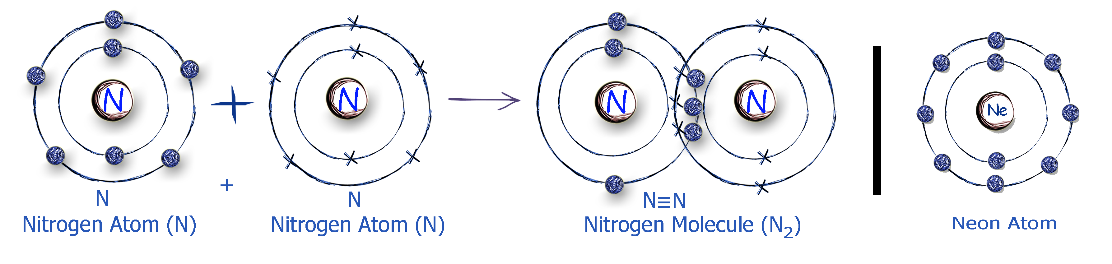 Nitrogen