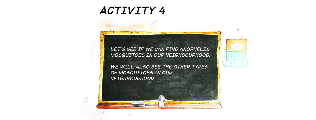 unit2activity4